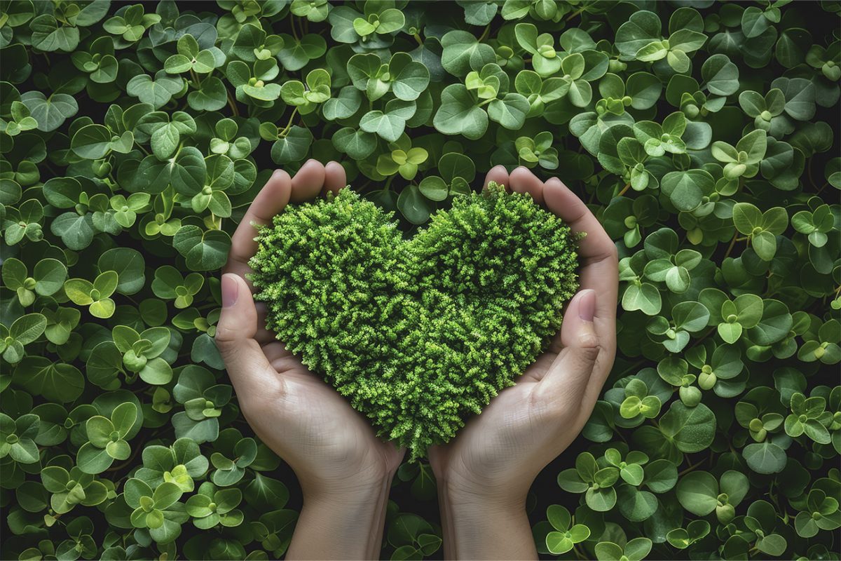 Käsien välissä sydämen muotoon leikattu pala vihreää sammalta ja taustalla vihreää kasvillisuutta.