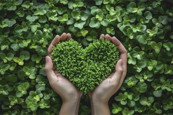 Käsien välissä sydämen muotoon leikattu pala vihreää sammalta ja taustalla vihreää kasvillisuutta.